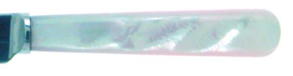 Pearl Handle Flatware 1 by John Sanderson & Son