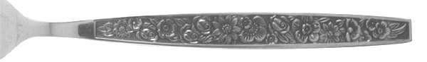 LCU19 (Stainless) by Lifetime