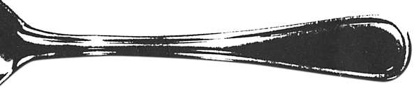 LCU21 (Stainless) by Lifetime