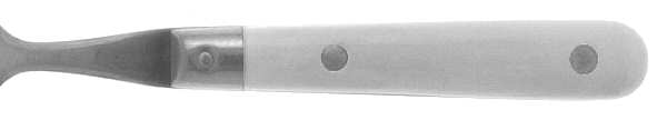 Paris Splendor-White (Stainless) by Lifetime
