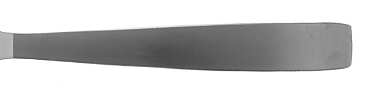 Houston-Matte (Stainless) by Ralph Lauren Flatware