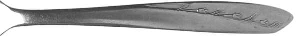 MWD3 (STAINLESS) by Montgomery Ward