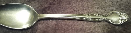 MWD17 (Stainless) by Montgomery Ward