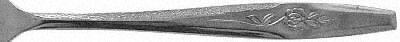 Temptation (Stainless) by Nasco