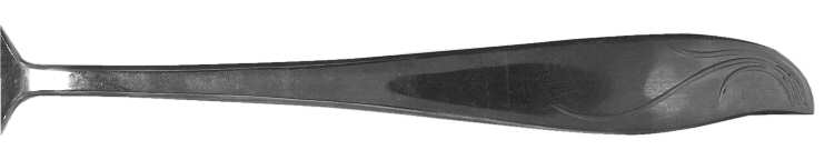NSS70 (Stainless) by Nasco