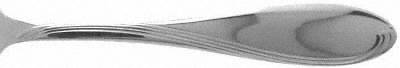 Camber Cresta Windswept Scroll (Stainless) by Oneida Silver