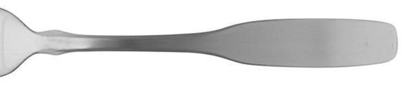 Paul Revere (Stainless) by Oneida Silver