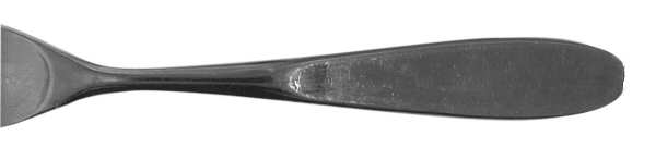 PTC4 (Stainless) by Present