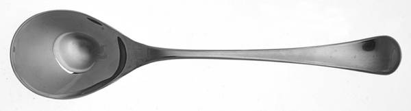 Solaris (Stainless) by Pintinox