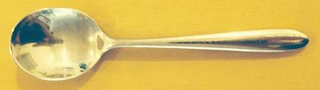 RDF17 (Stainless) by Royal Doulton