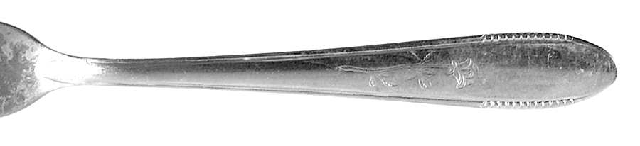 Ancient Rose (Stainless) by Utica
