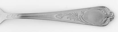 UNF1571 (Stainless) by Unknown Mfg Silver