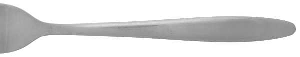 Regency (Stainless) by Wallace Silver