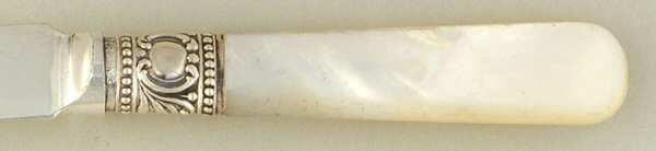 Pearl Handle Flatware 1 by World Brand