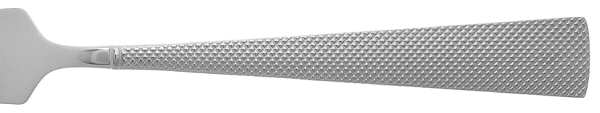Etched (Stainless) by Wedgwood Silver