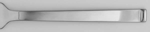 Arden (Stainless) by Wedgwood Silver