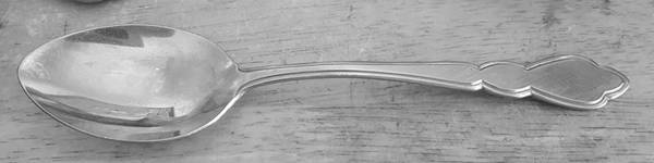 WLF10 (Stainless) by Wesley Forge