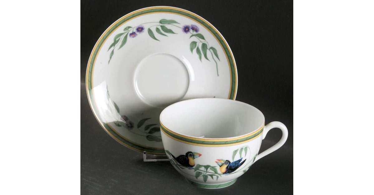 Toucans (Birds) Breakfast Cup & Saucer Set by Hermes