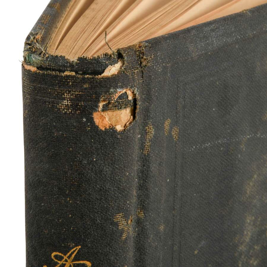 Antique Early 20th Century "A Message to Posterity" Family Register Book-6