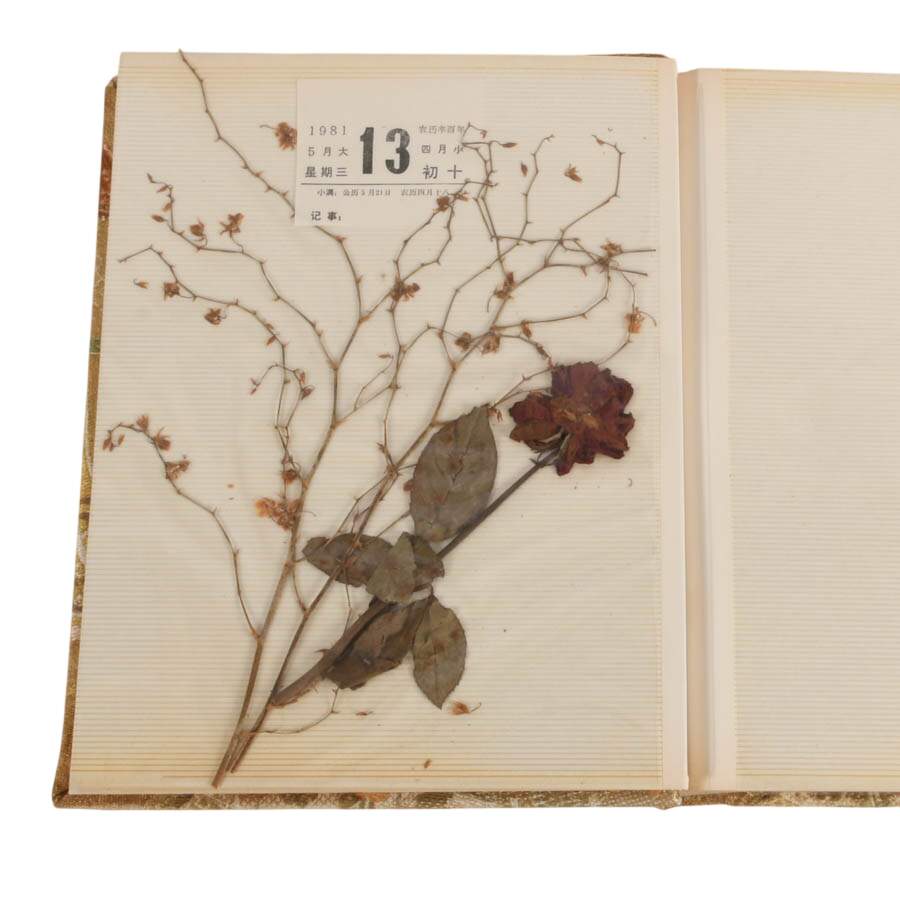 Three Chinese Fabric Photograph Albums-10