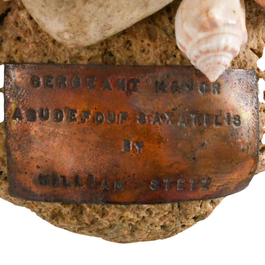 William Stetz Coral and Copper Sergeant Fish Sculpture with Ship in Bottle-7