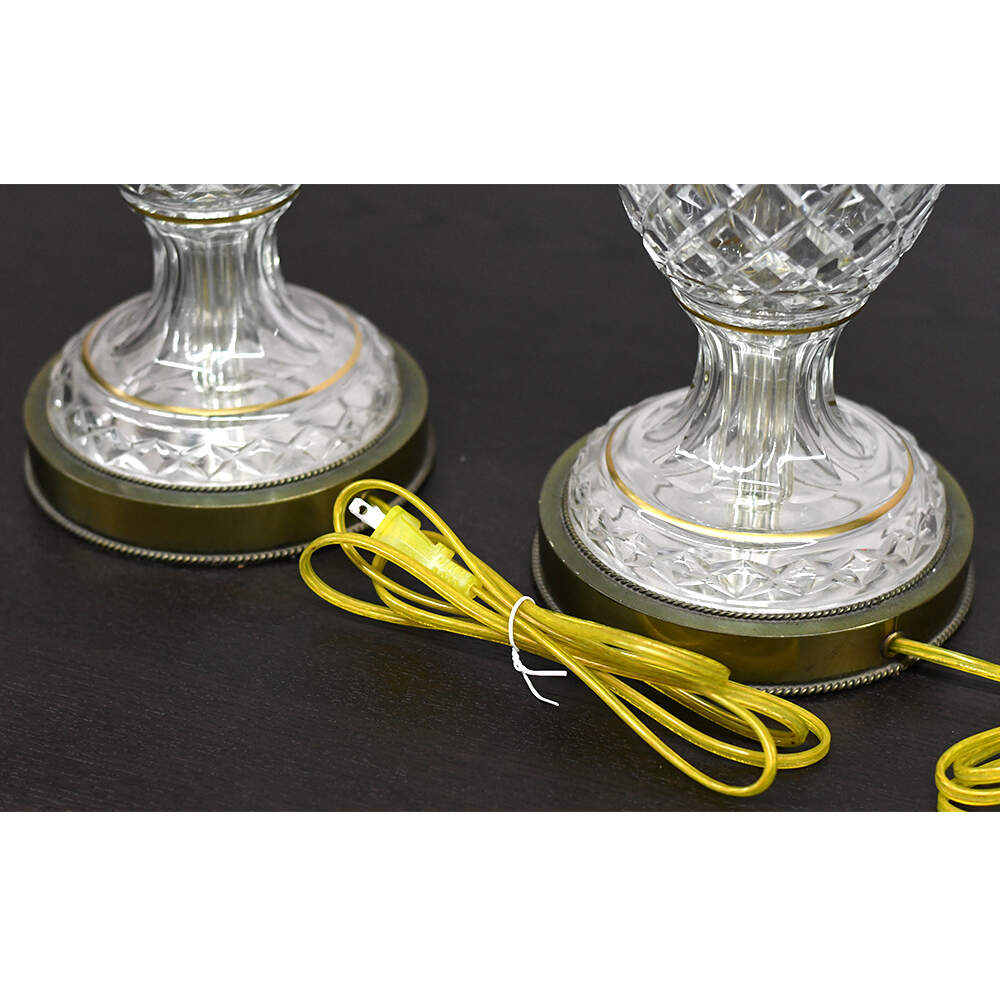 Bohemian Hand-Painted Enameled Rose Medallion Detail Cut Crystal Lamps-5