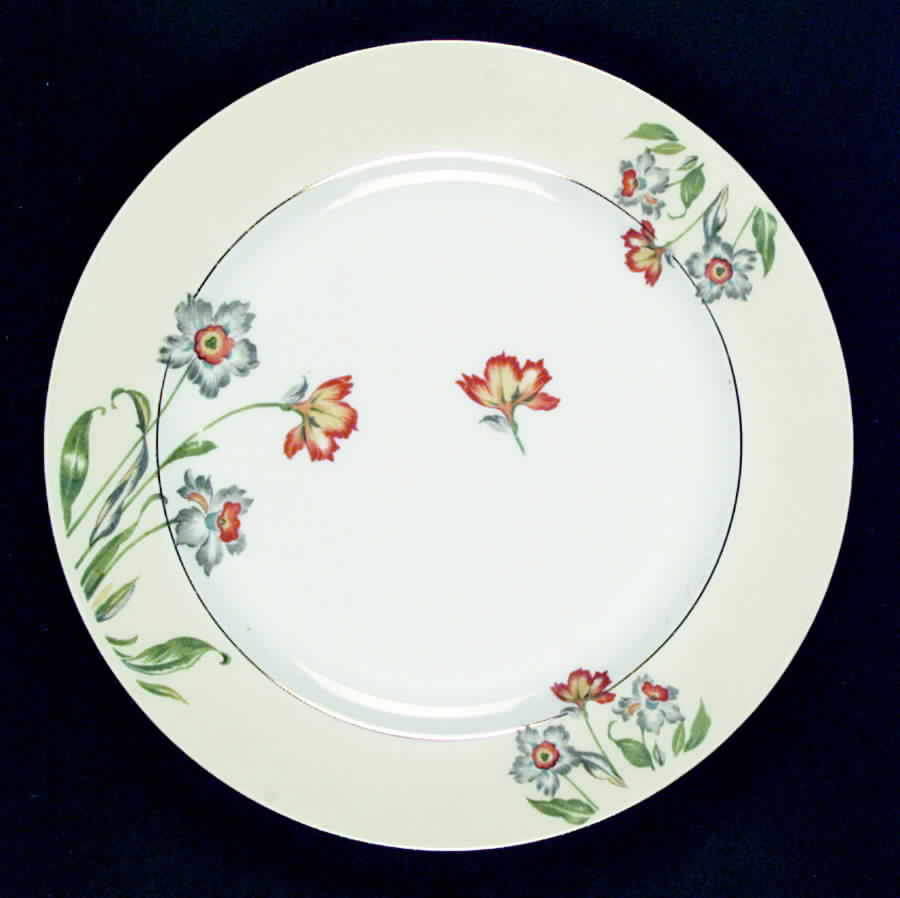 ACC1 Dinner Plate by Amc China-Germany-1
