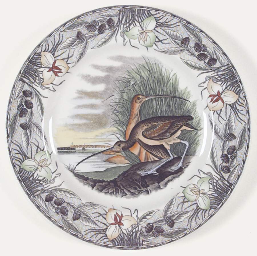 Birds of America (Floral Border) Dinner Plate by Adams China-1