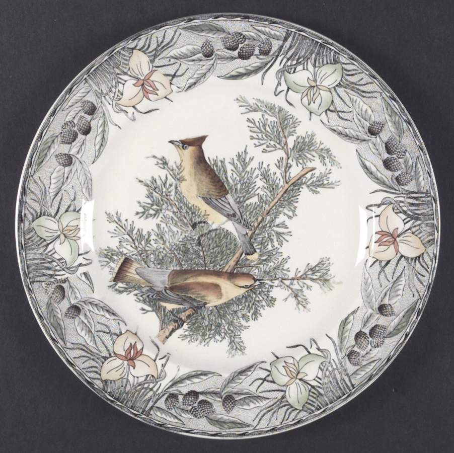 Birds of America (Floral Border) Dinner Plate by Adams China-1