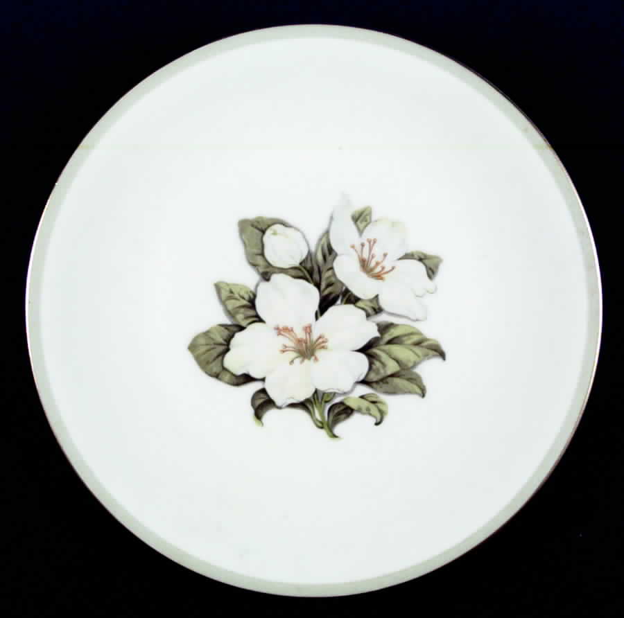 Caprice Dinner Plate by Alpine China-1