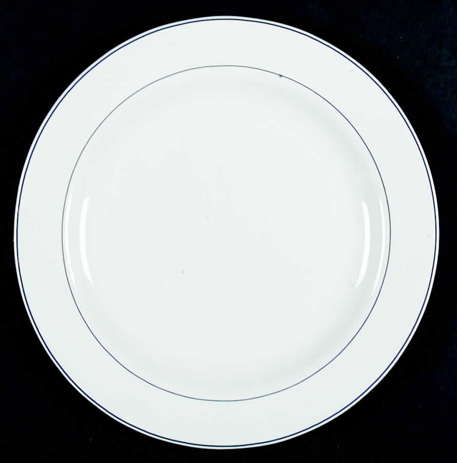 Reception Dinner Plate by Arcopal-1