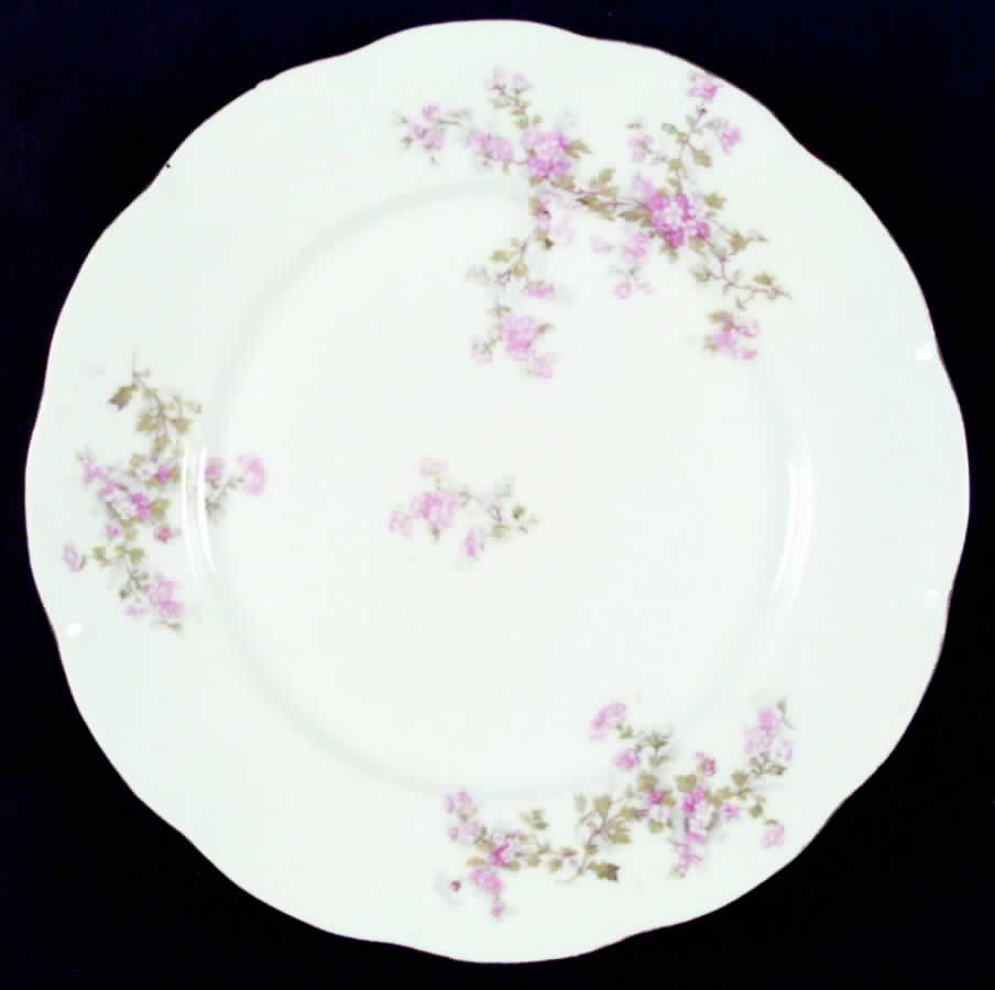 VTO4 Dinner Plate by Victoria (Austria)-1