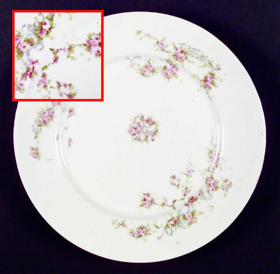 VTO30 Dinner Plate by Victoria (Austria)-1