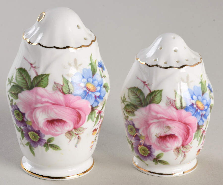 Aynsley Spray Salt & Pepper Set by John  Aynsley & Sons-1