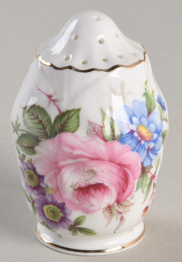 Aynsley Spray Salt Shaker by John  Aynsley & Sons-1
