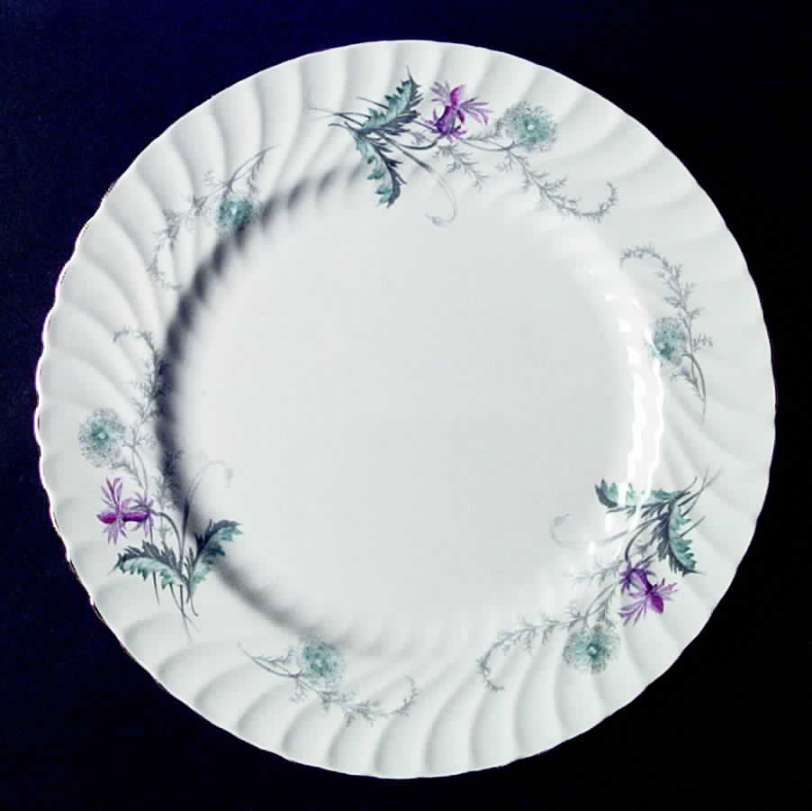 Wayside (Swirled) Dinner Plate by John  Aynsley & Sons-1