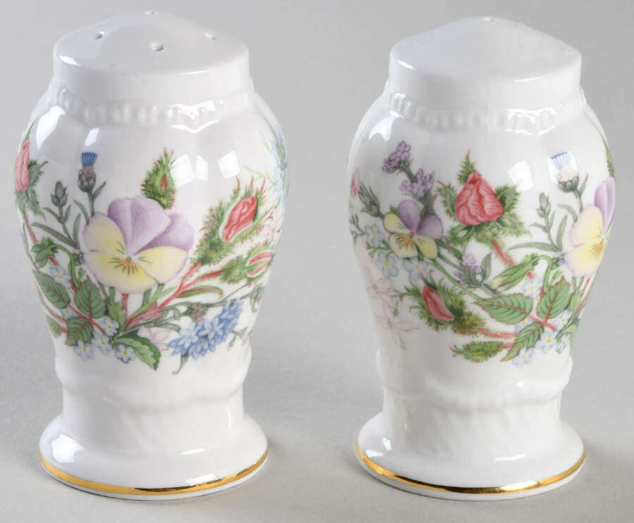 Wild Tudor Salt & Pepper Set by John  Aynsley & Sons-1