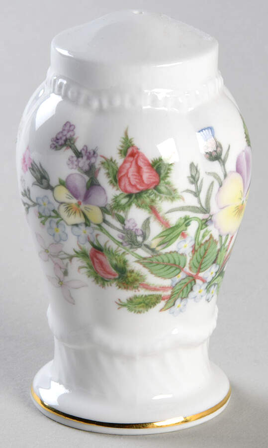 Wild Tudor Salt Shaker by John  Aynsley & Sons-1