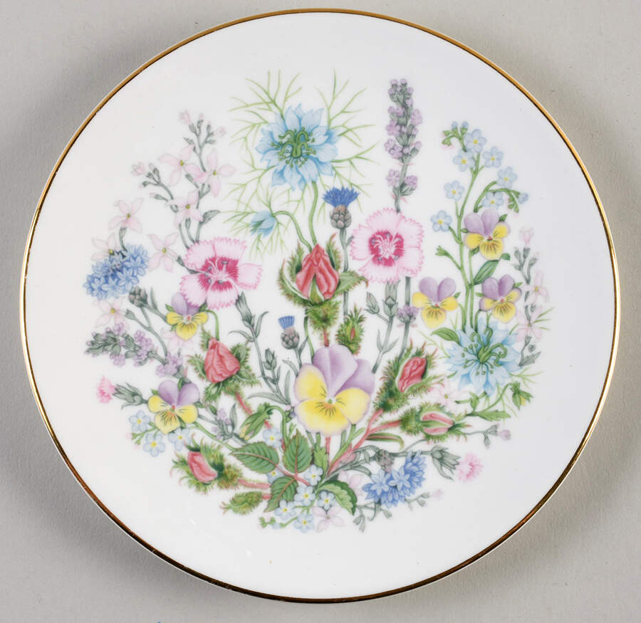 Wild Tudor Coupe Dessert Plate by John  Aynsley & Sons-1
