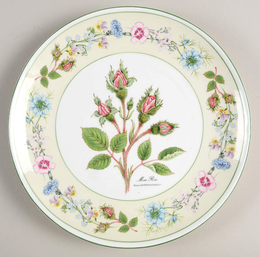 Wild Tudor Coupe Accent Salad Plate by John  Aynsley & Sons-1