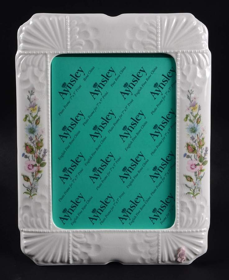 Wild Tudor 9" Picture Frame by John  Aynsley & Sons-1