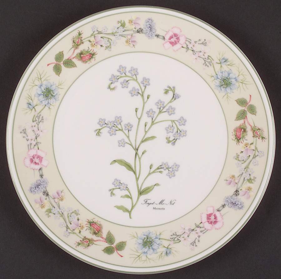Wild Tudor Coupe Accent Salad Plate by John  Aynsley & Sons-1