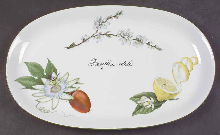 Elysian Gardens 14" Oval Serving Platter by Apilco-1