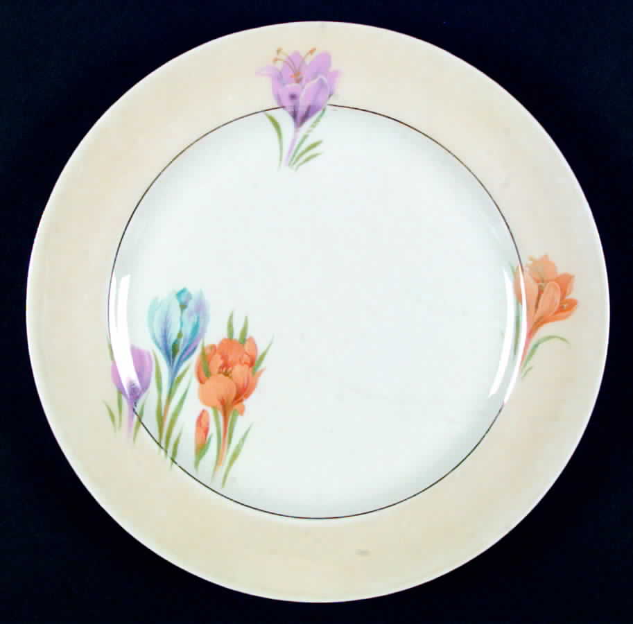 ACC5 Dinner Plate by Amc China-Germany-1