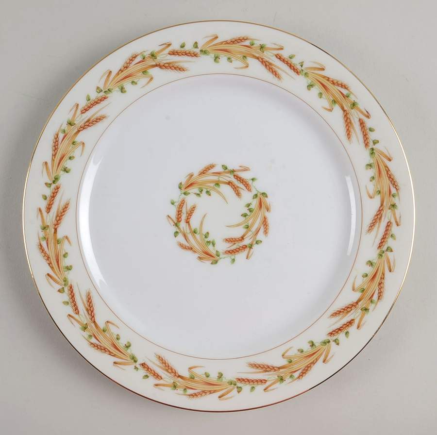ALA15 Dinner Plate by Aladdin-1