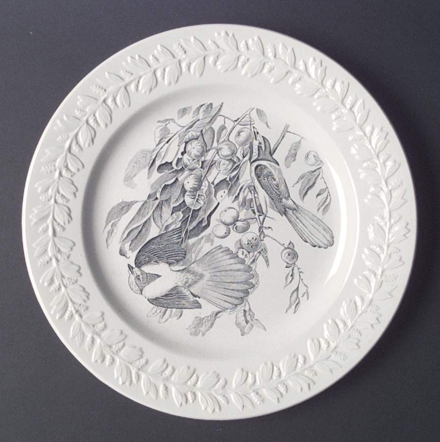 Birds of America Black Dinner Plate by Adams China-1