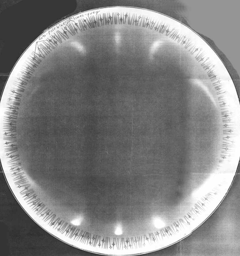 Lido Dinner Plate by ACI-1