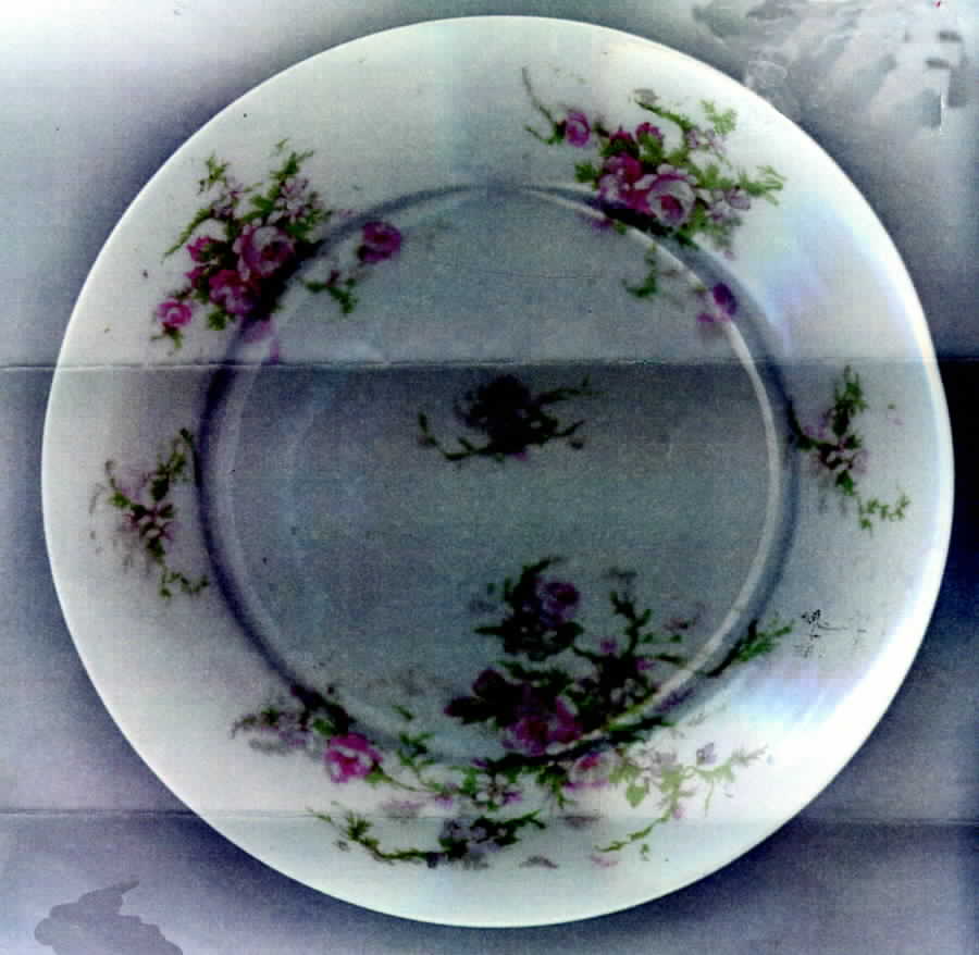 VTO23 Salad Plate by Victoria (Austria)-1