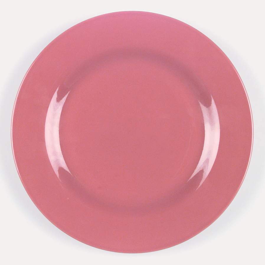 Terra Cotta Dinner Plate by Alacarte-1