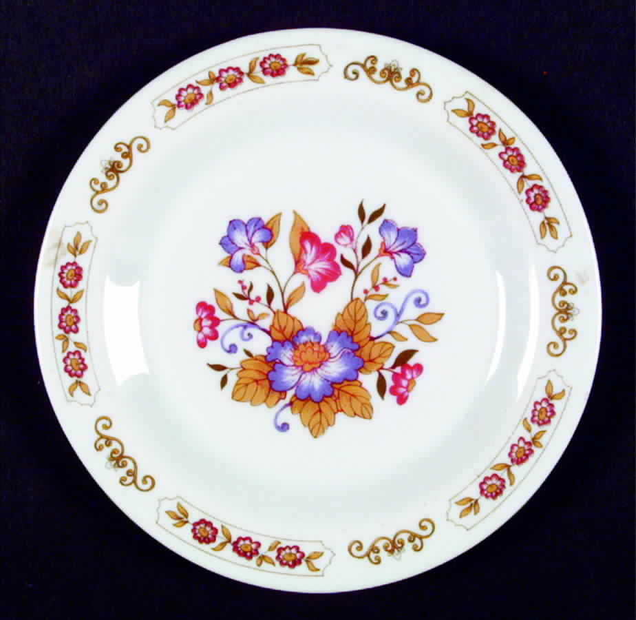 ARP12 Salad Plate by Arcopal-1